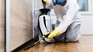 Best Pest Prevention Services  in Murrysville, PA